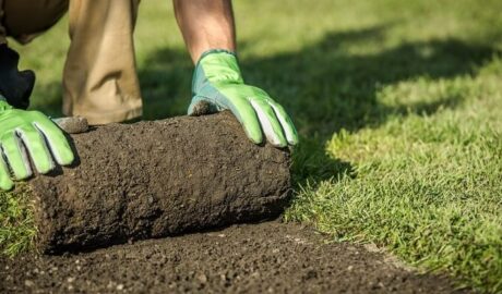 Expert Lawn Care Services | Champions Landscaping NJ